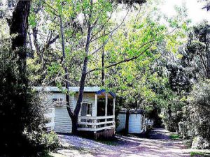 Flinders Caravan Park - Lightning Ridge Tourism